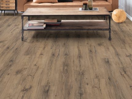Parchet Laminat EPL019 Stejar Parquet închis