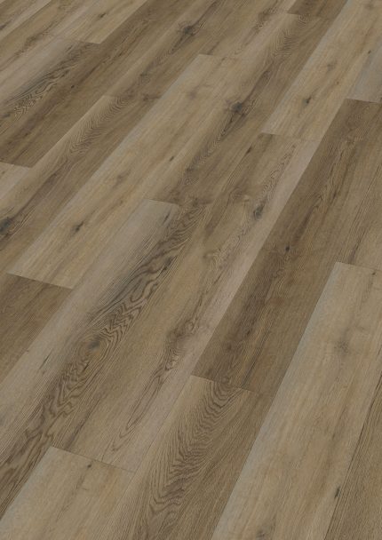 SPC Moderna V-solid Nelson