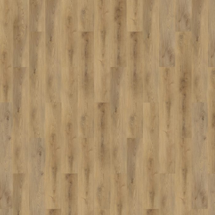 Vinil SPC 56323 Alyssa Solcora - imagine 3