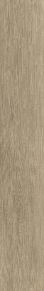 Vinil SPC 56249 Tarn Solcora - imagine 3